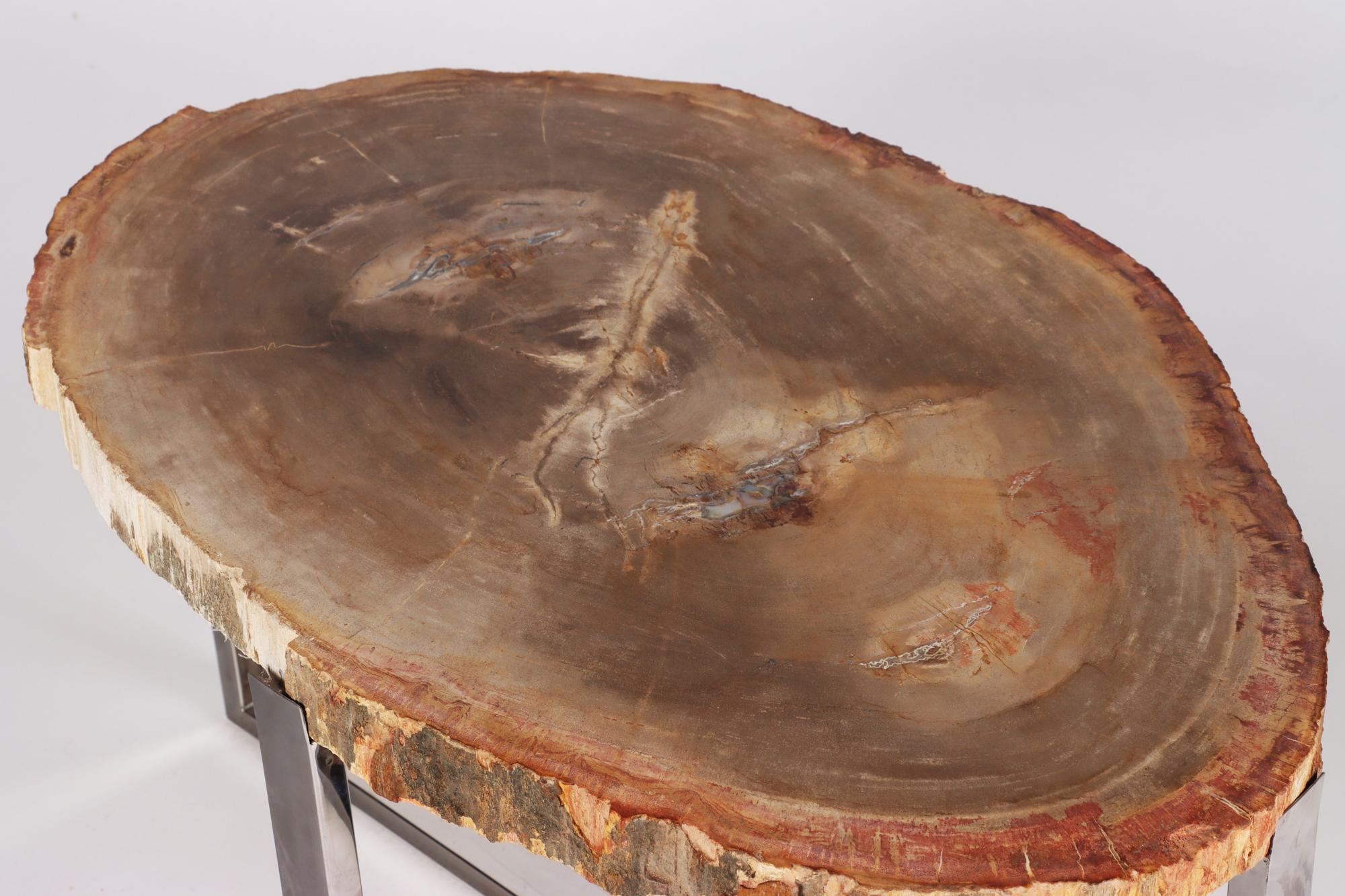 petrified wood table