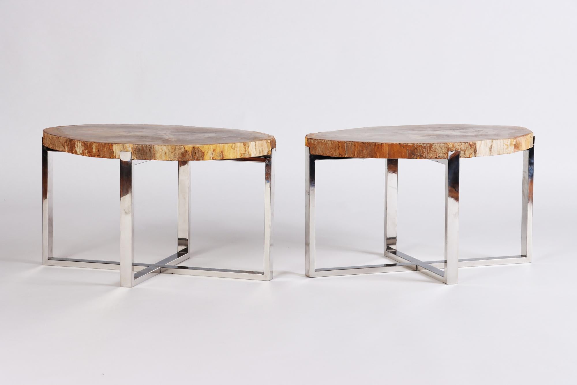 Contemporary Pair of Organic Modern Petrified Wood Side Tables, 21st C