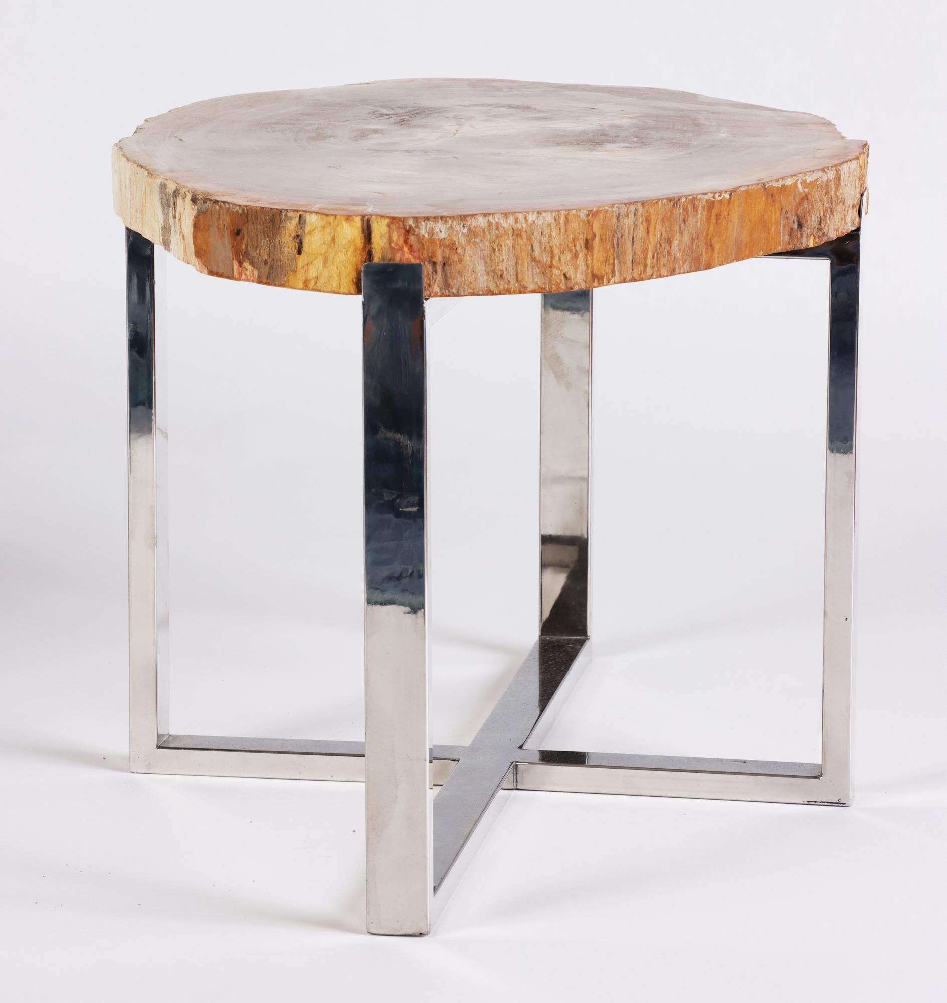 Pair of Organic Modern Petrified Wood Side Tables, 21st C 2