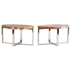 Pair of Organic Modern Petrified Wood Side Tables, 21st C