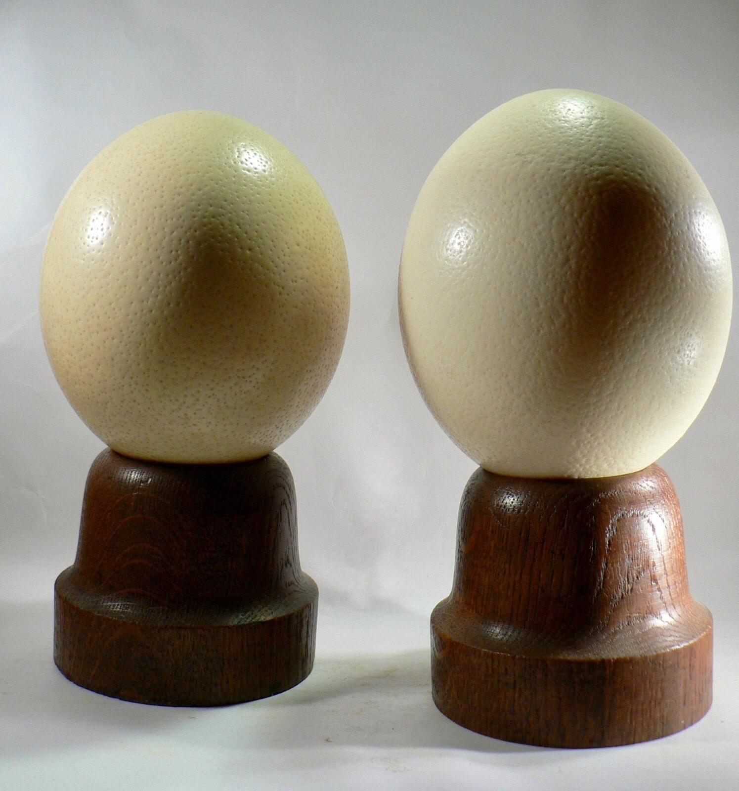 French A pair of ostrich eggs with their turned solid oak bases, France XIXth century For Sale