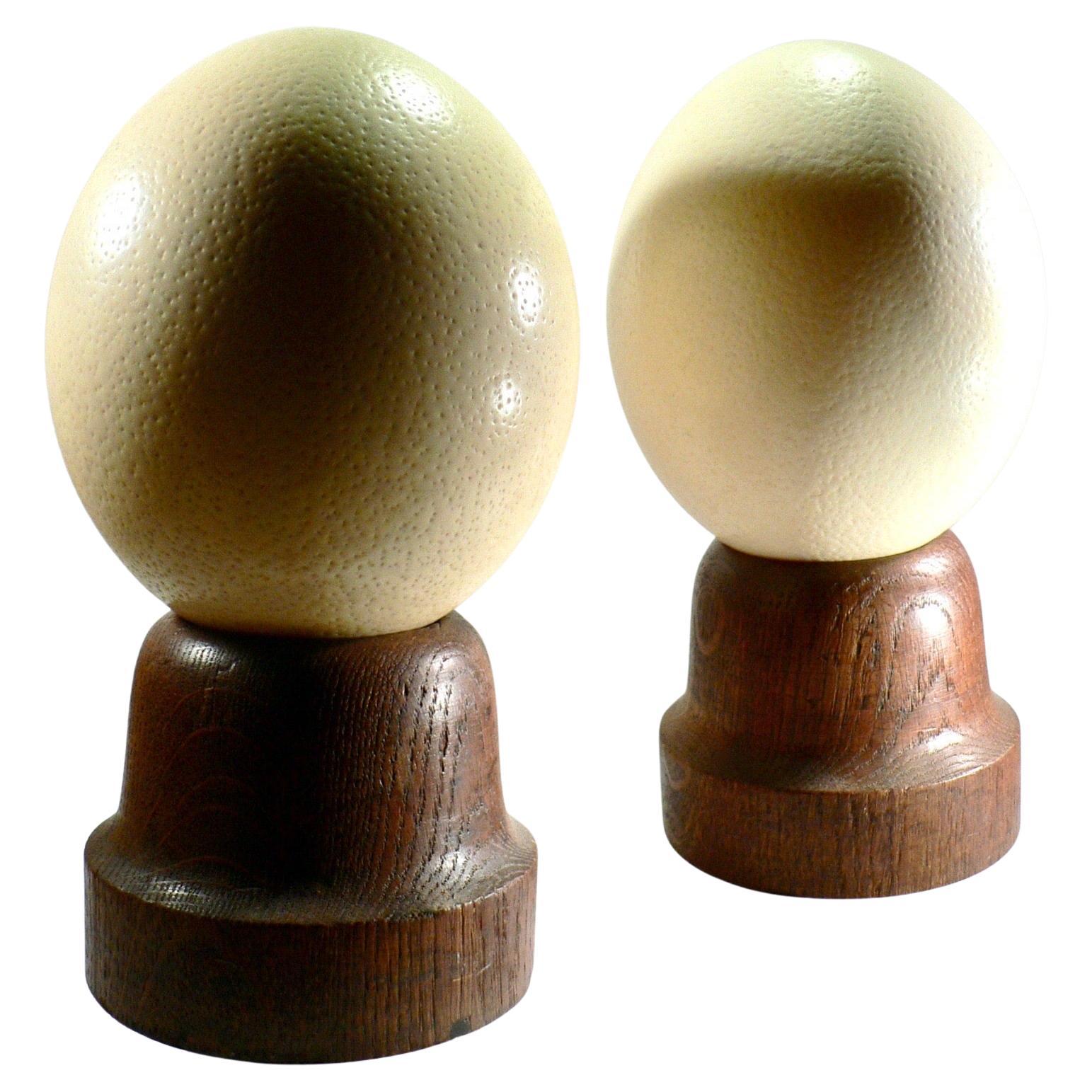 A pair of ostrich eggs with their turned solid oak bases, France XIXth century For Sale