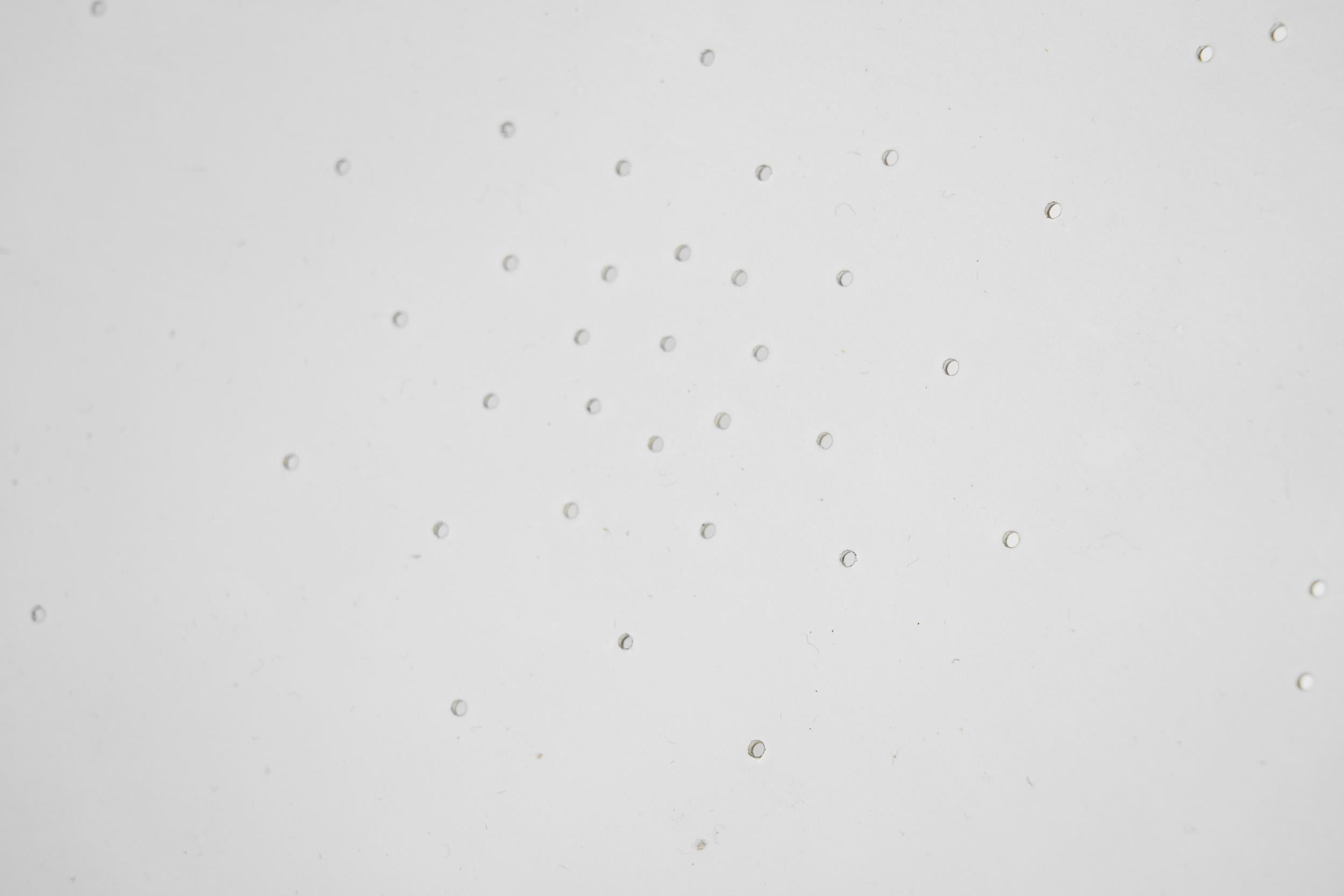 Coppia di lampade da soffitto Paavo Tynell modello 