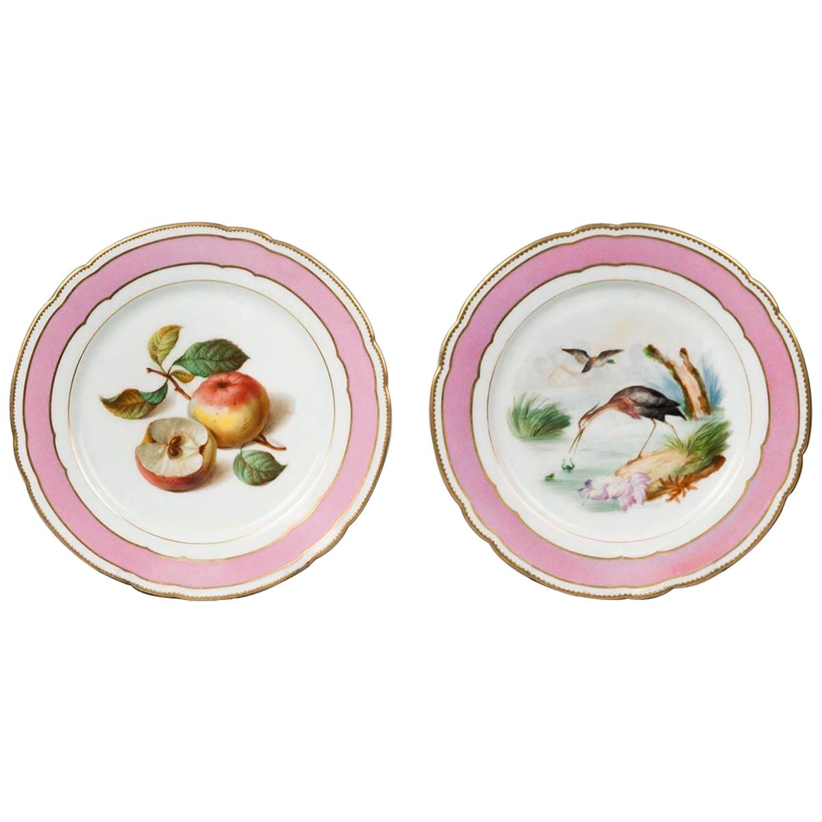 Pair of Painted Porcelain Cabinet Plates from Paris, 19th Century