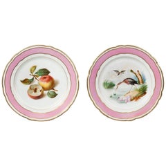 Antique Pair of Painted Porcelain Cabinet Plates from Paris, 19th Century