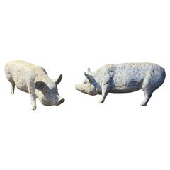 A Pair Of Painted White Cast Iron Pigs