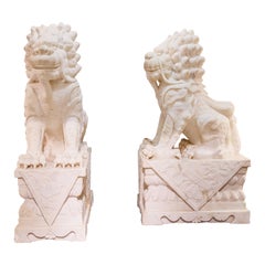 A pair of palatial carved white marble Chinese Lions
