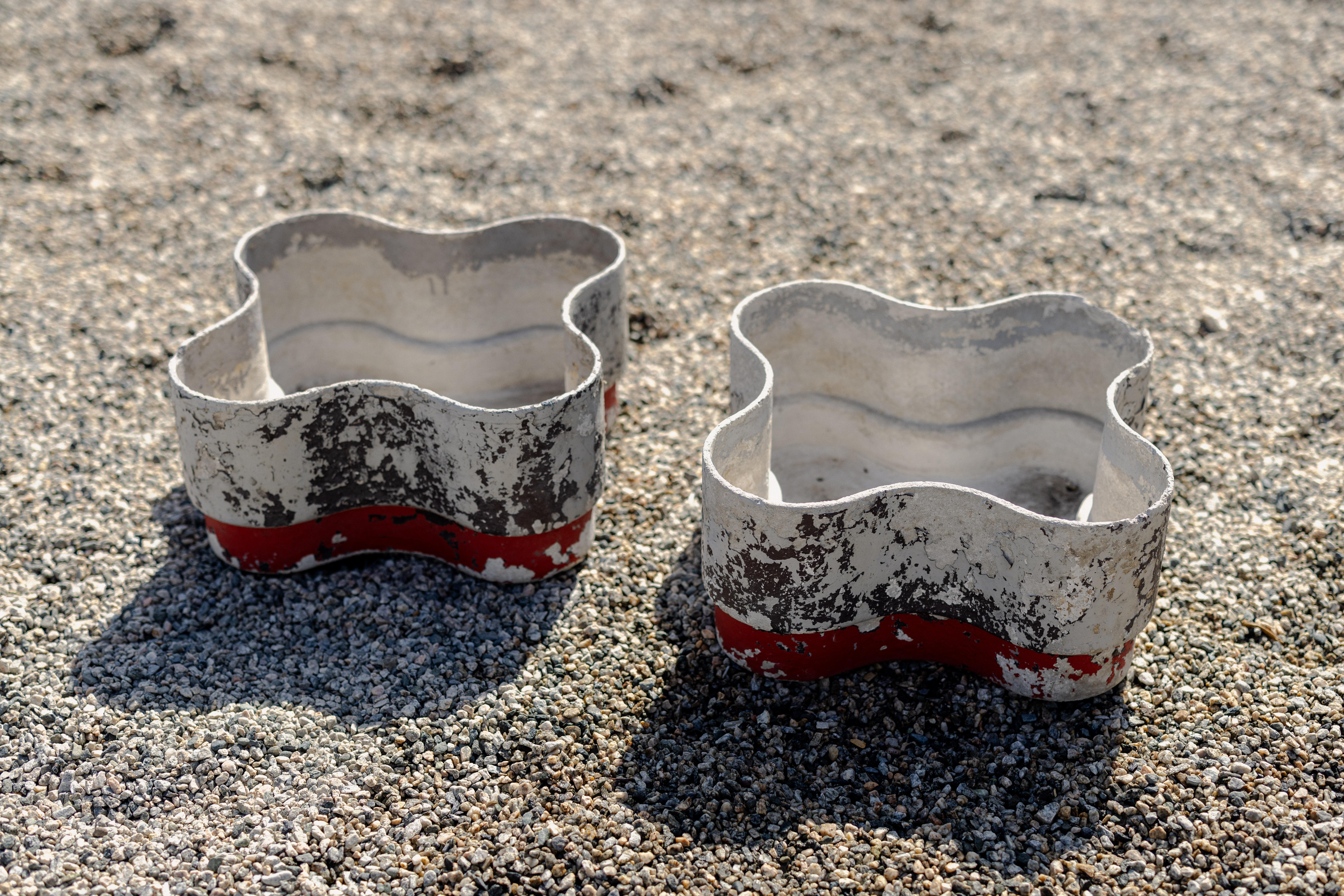 Mid-Century Modern A Pair of Quadrifoil Planters by Willy Guhl, 1960's, Switzerland For Sale