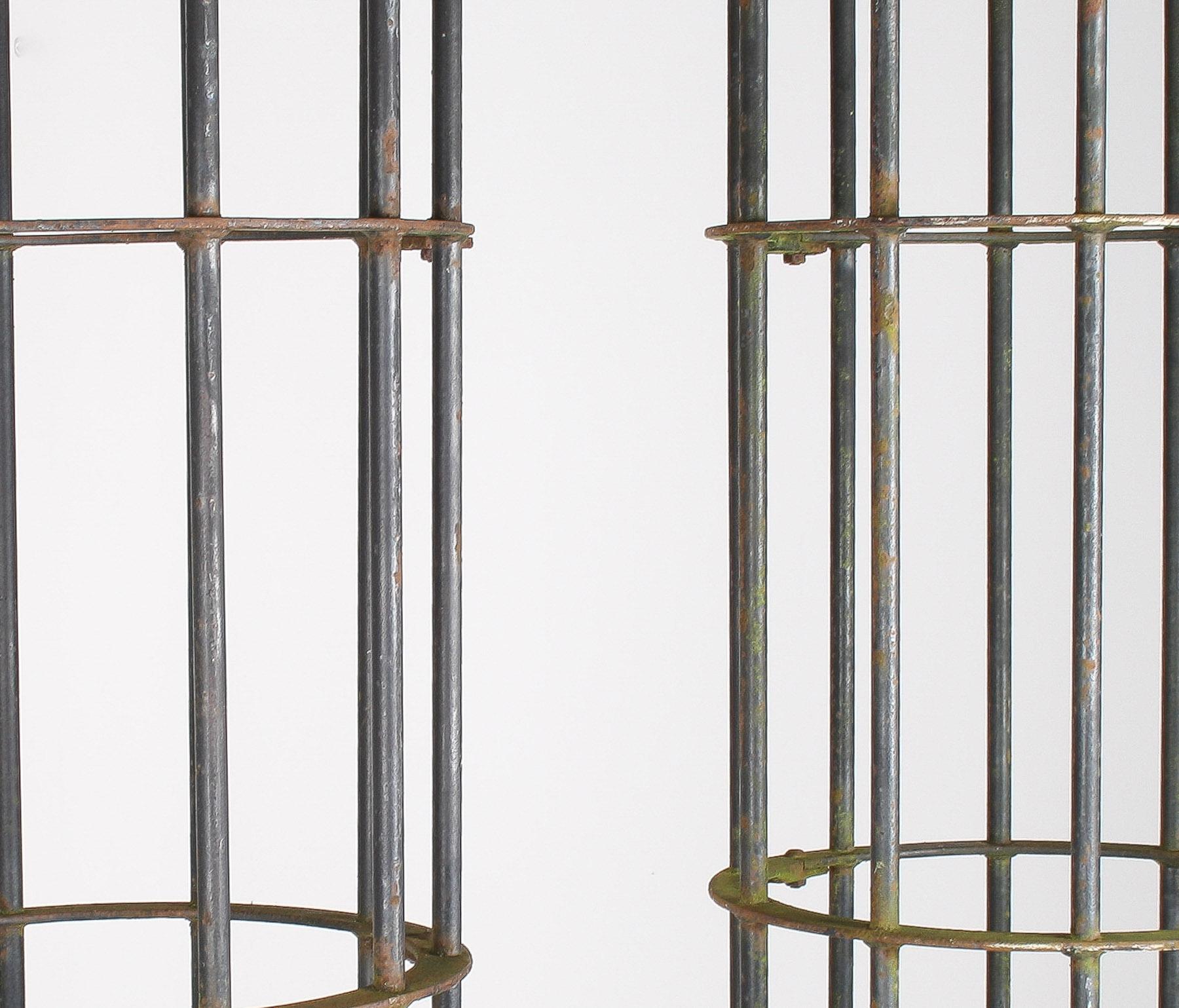 A Pair of Reclaimed Iron Tree Guards Garden Trellis Topiary Frames For Sale 3