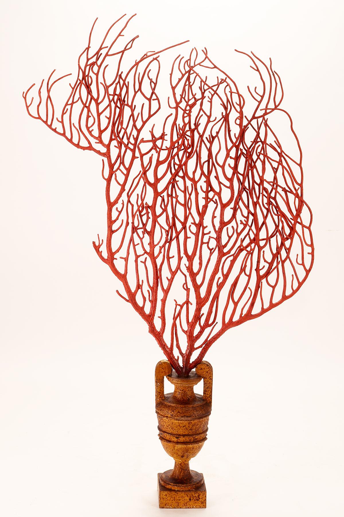Pair of Red Gorgonian Branches, Italy, 1870 7