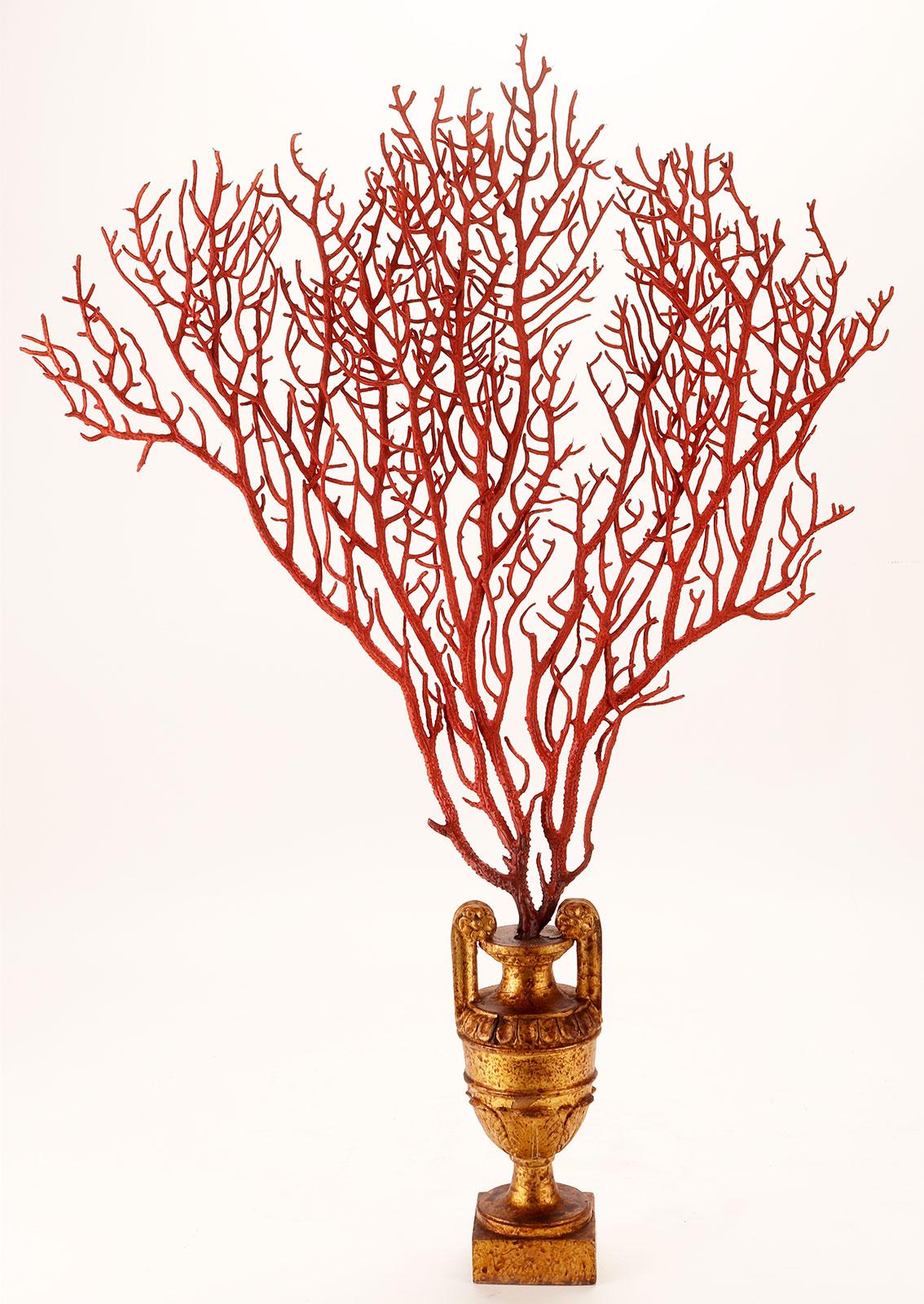 A pair of fan-shaped red Gorgonian branches from Wunderkammer. The bases are in carved and gilded wood, in the shape of a vase with handles. Italy, circa 1870.