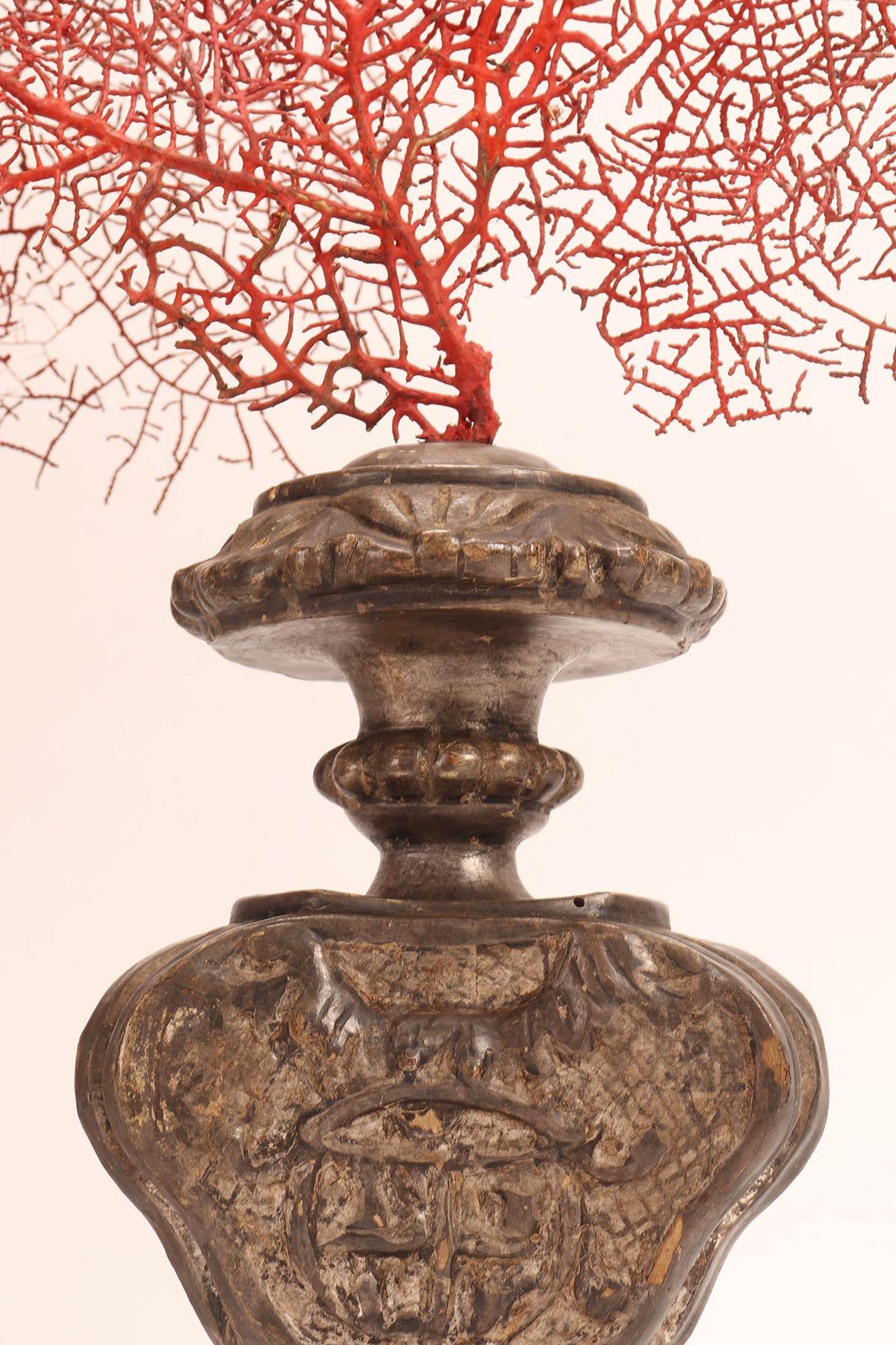 Pair of Red Gorgonian Branches, Italy, 1870 In Good Condition For Sale In Milan, IT