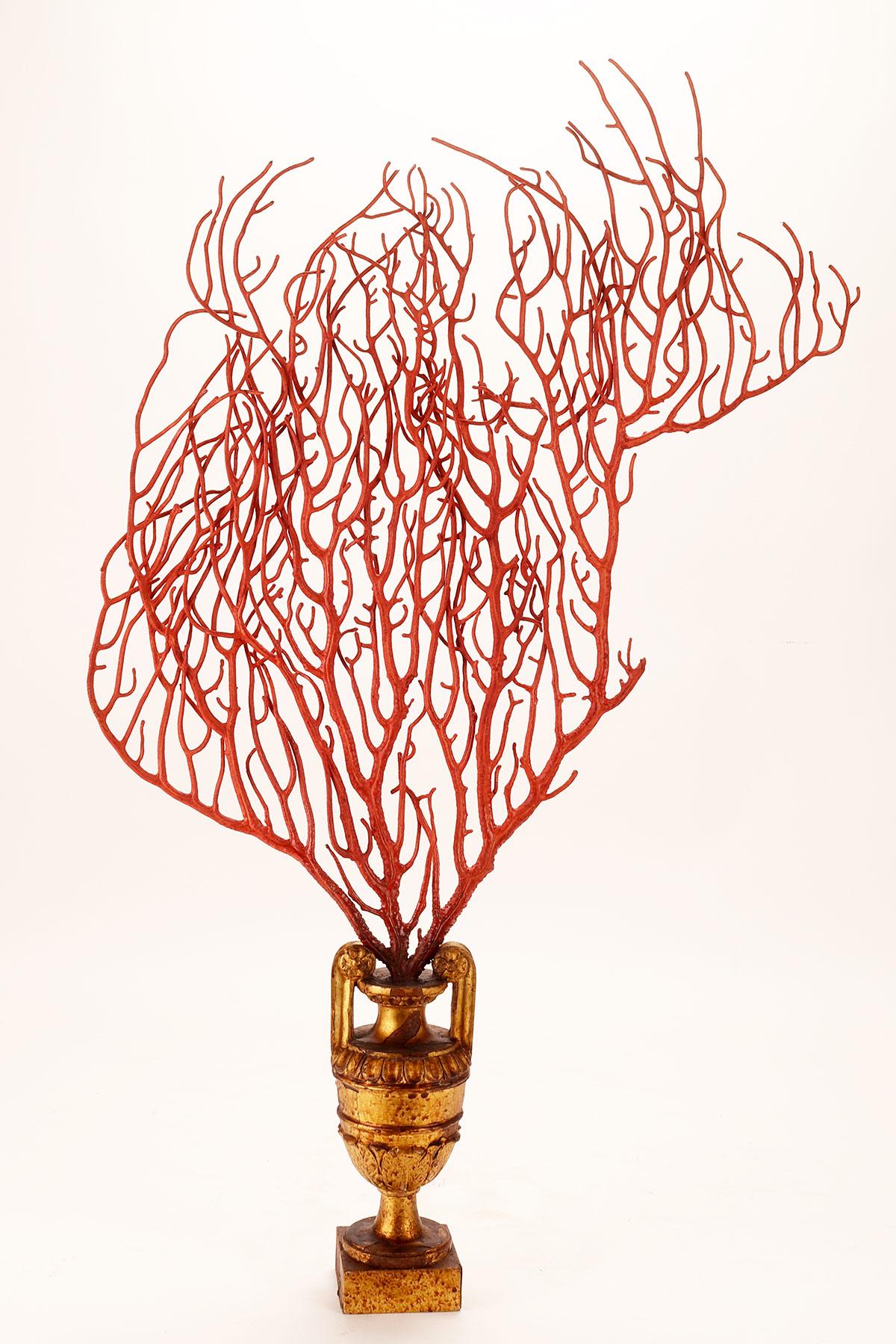 Pair of Red Gorgonian Branches, Italy, 1870 2