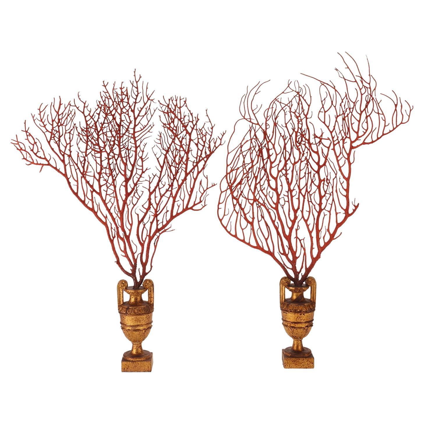 Pair of Red Gorgonian Branches, Italy, 1870