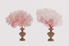 A pair of red gorgonian branches with silver-plated bases, Italy 1870.
