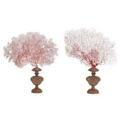A pair of red gorgonian branches with silver-plated bases, Italy 1870.