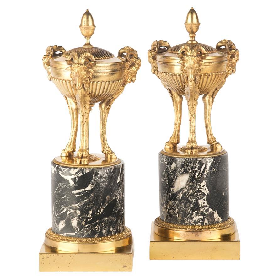 Pair of Regency Classical Gilt Bronze Vases For Sale