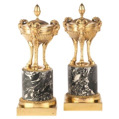 Pair of Regency Classical Gilt Bronze Vases
