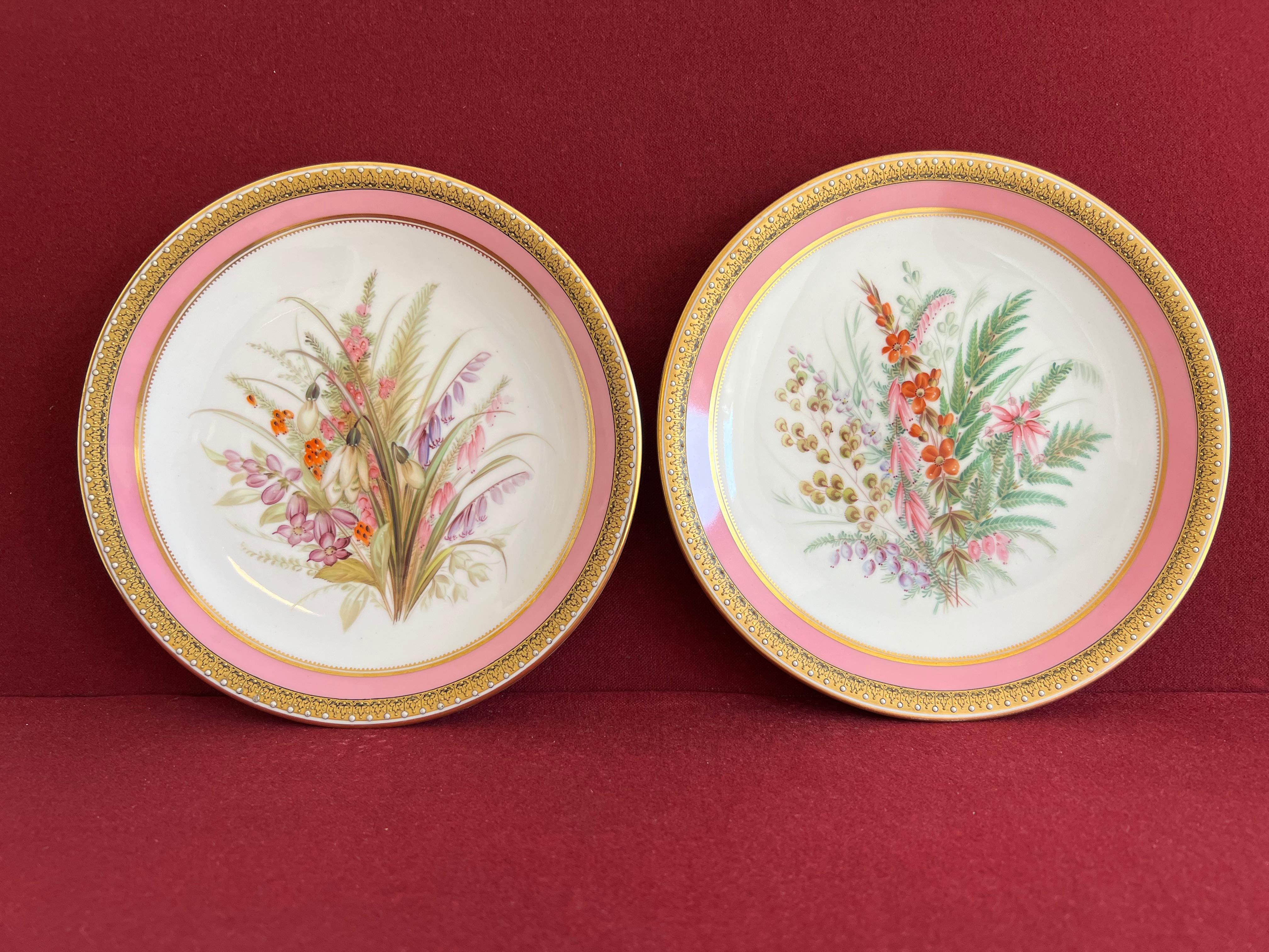 A pair of Royal Worcester Porcelain botanical dessert plates c.1862-1870. Beautifully hand painted with a floral pattern of various Heathers & Ferns. The plate has a round plain edge with a border pattern consisting of a gold and pink band with