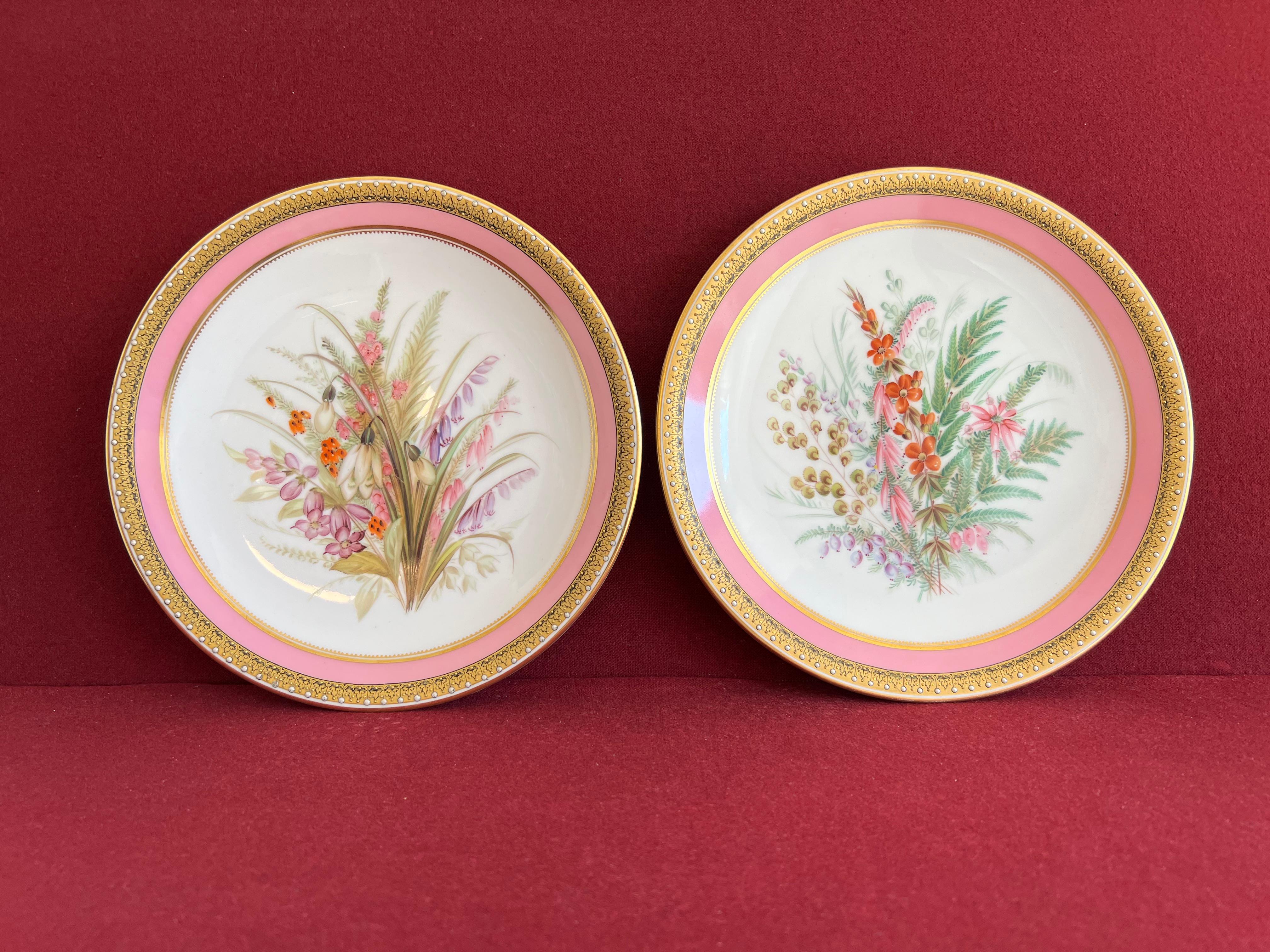 royal porcelain plates
