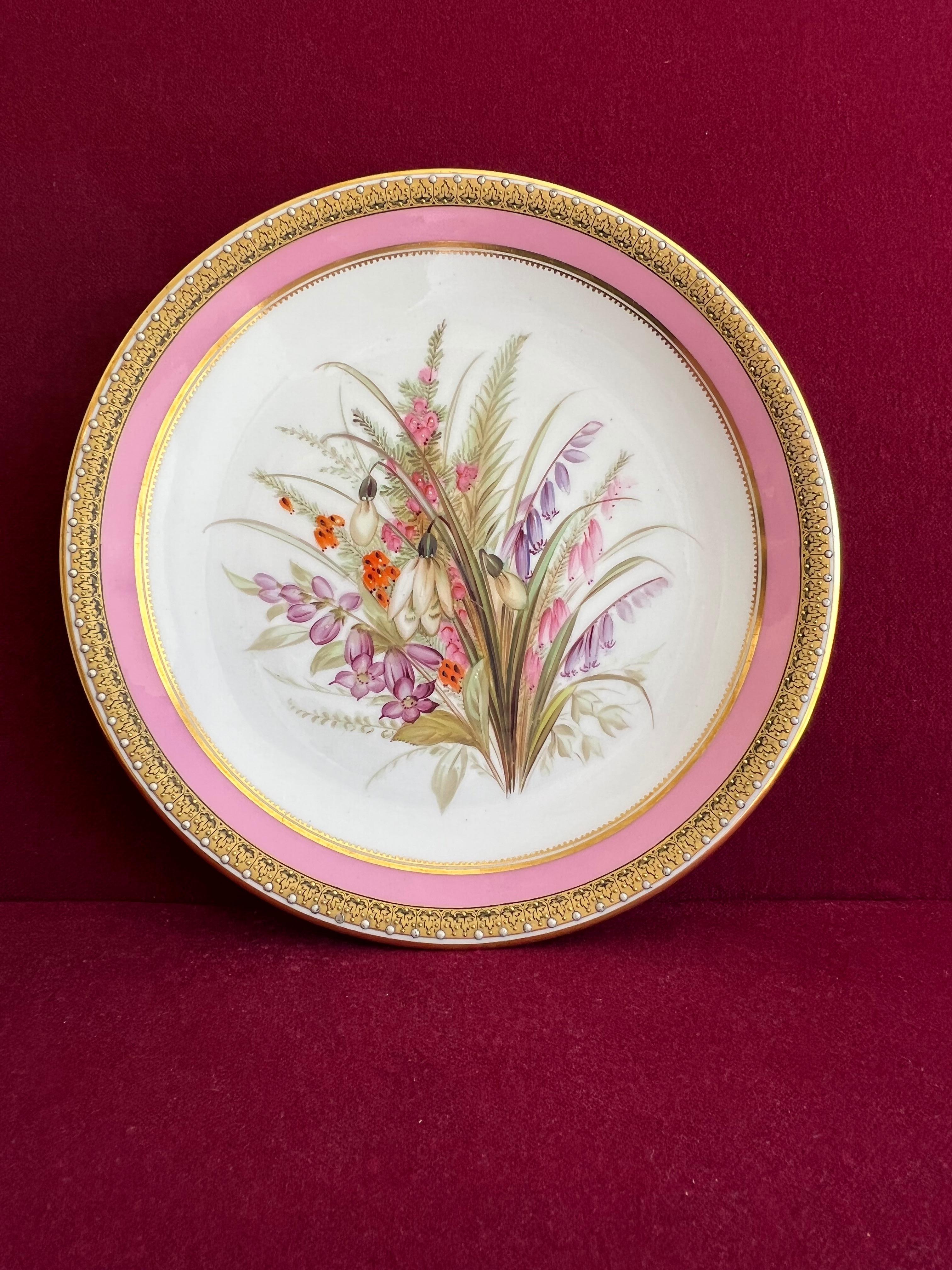 19th Century Pair of Royal Worcester Porcelain Botanical Dessert Plates c.1862-1870