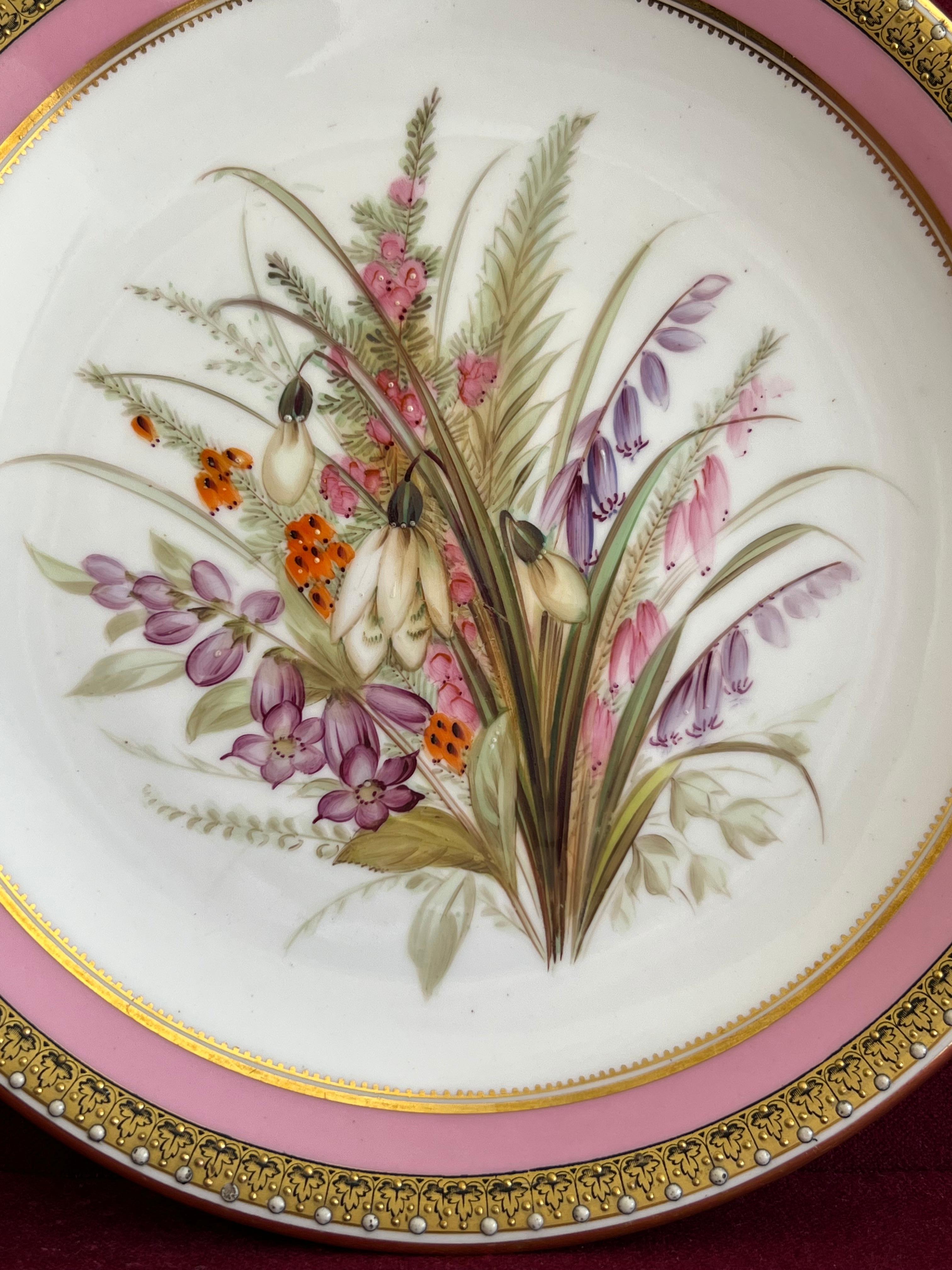 Pair of Royal Worcester Porcelain Botanical Dessert Plates c.1862-1870 1