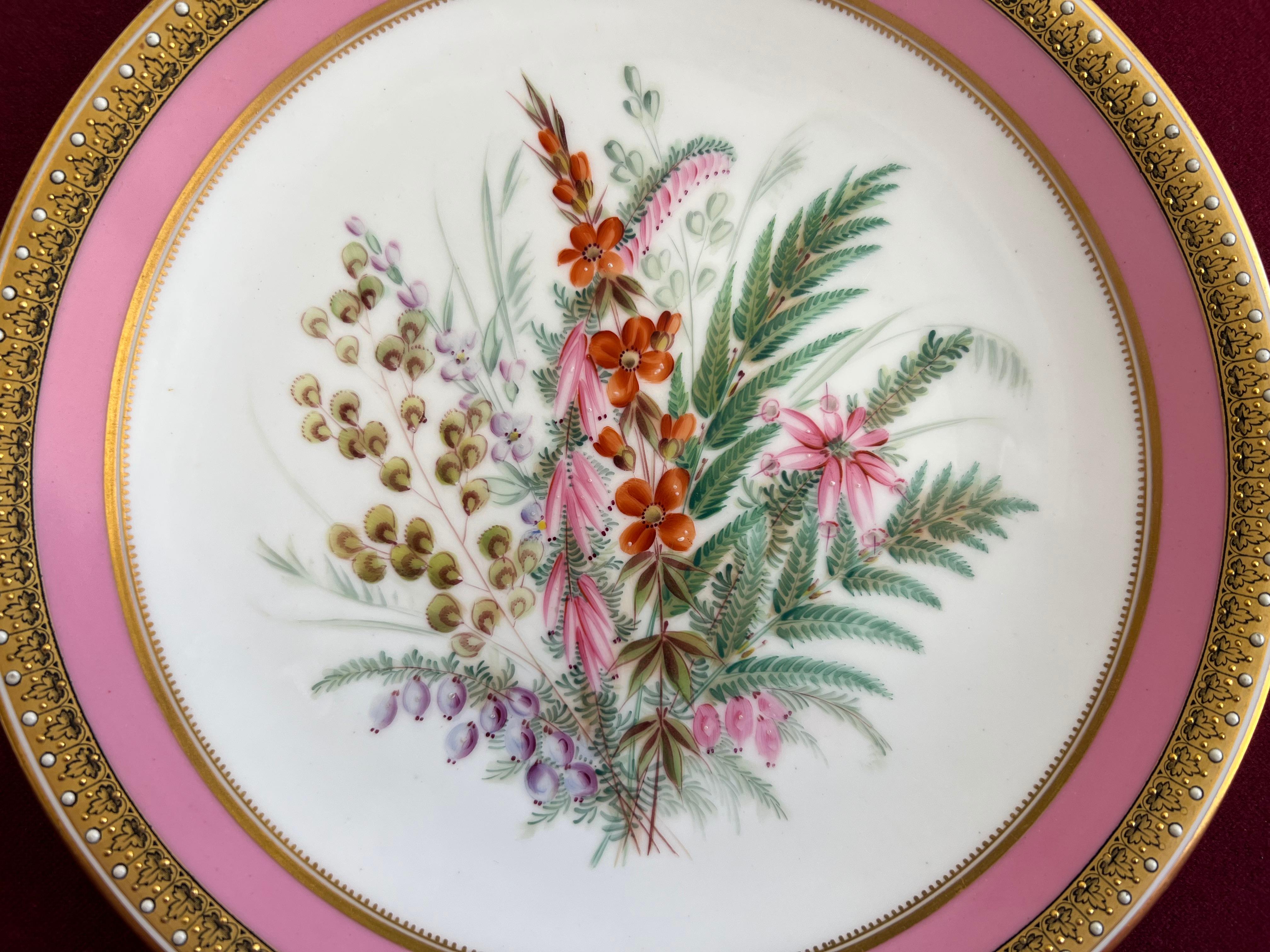 Pair of Royal Worcester Porcelain Botanical Dessert Plates c.1862-1870 3