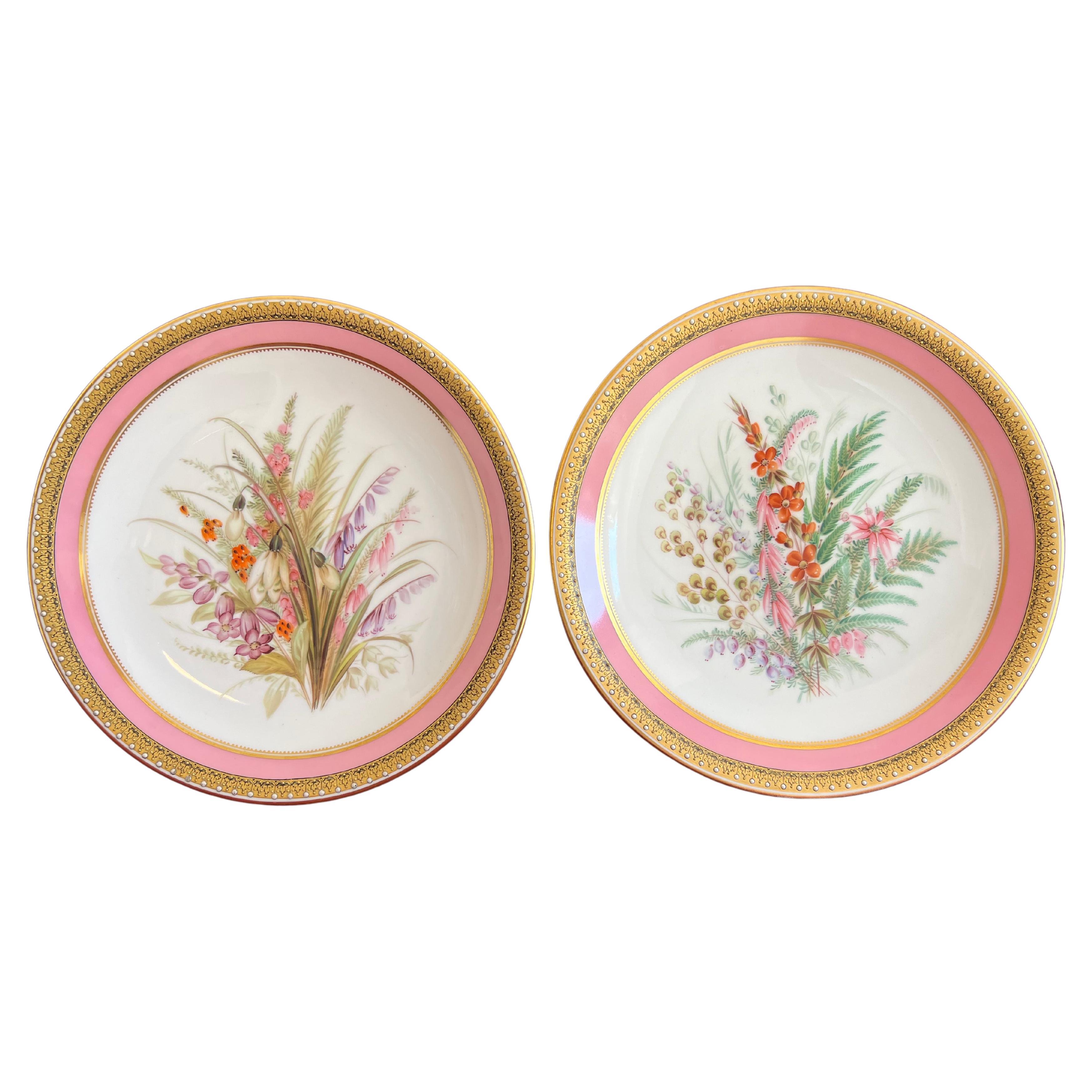 Pair of Royal Worcester Porcelain Botanical Dessert Plates c.1862-1870