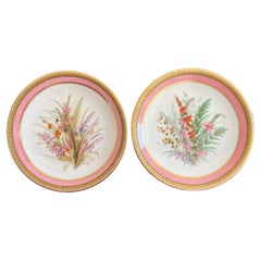 Pair of Royal Worcester Porcelain Botanical Dessert Plates c.1862-1870