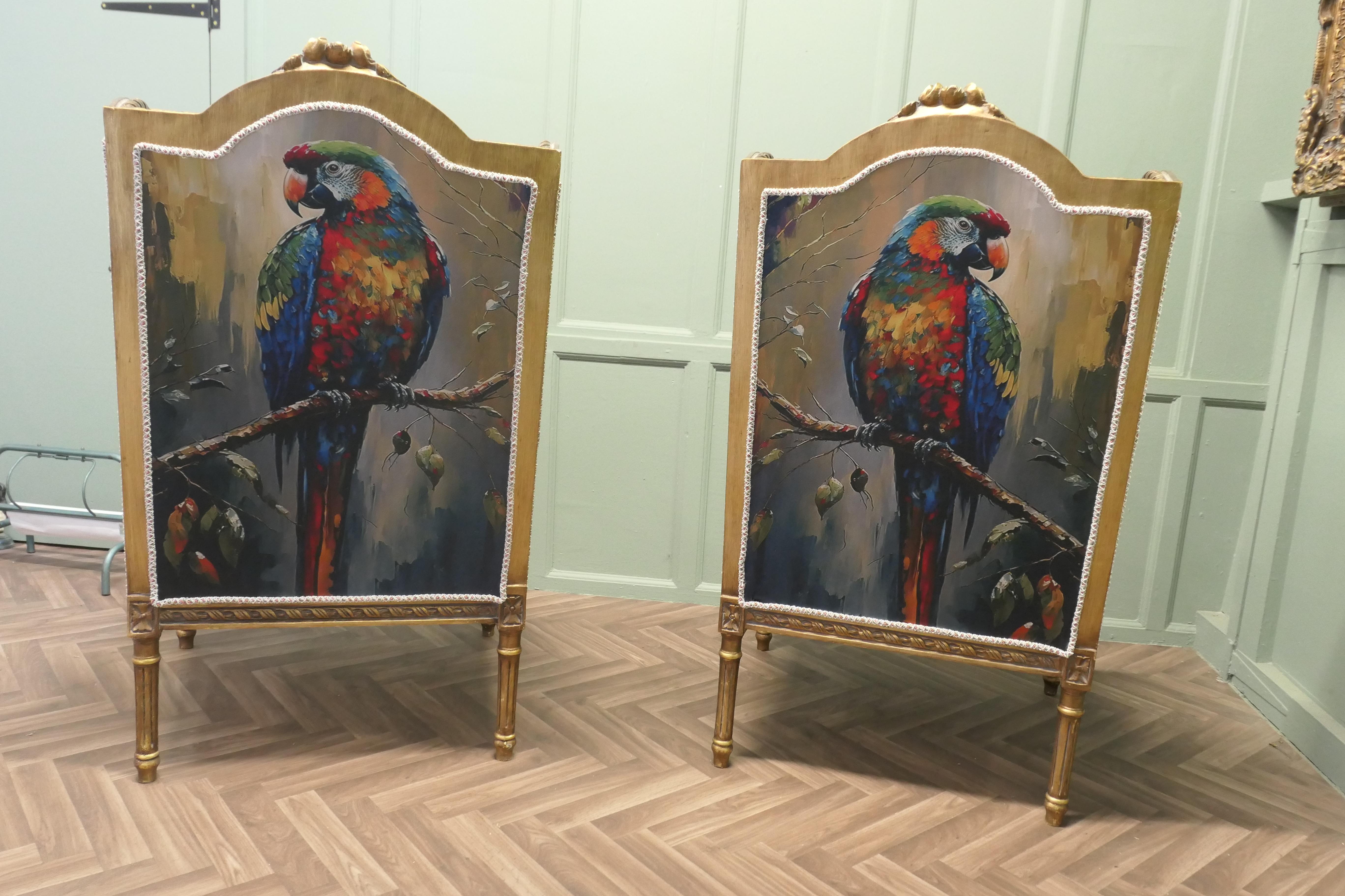 French Provincial A Pair of Salon Chairs with Silk Parrot Design For Sale