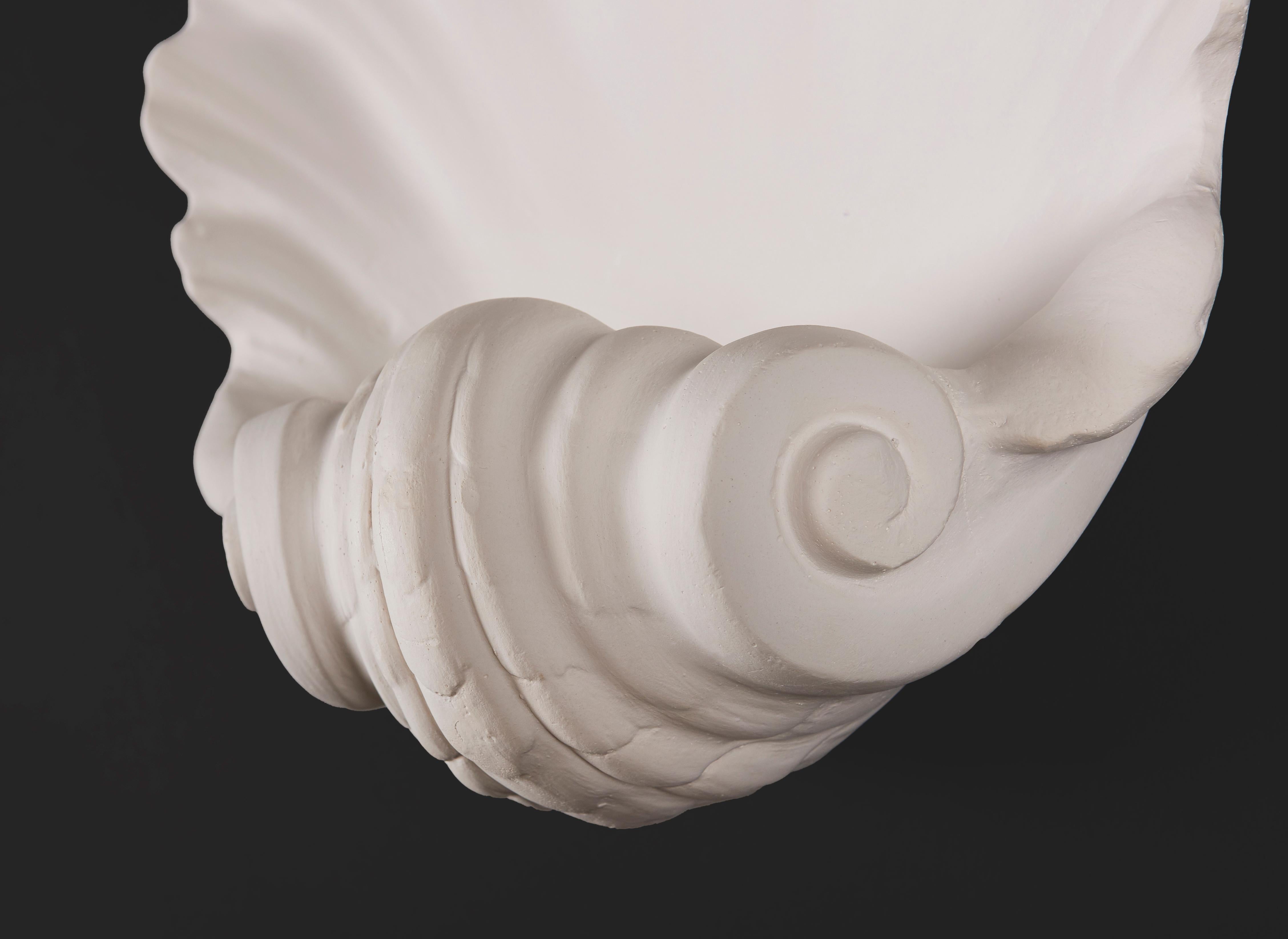 scallop shell wall light