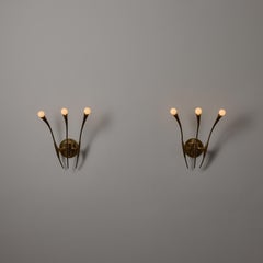 A Pair of Sconces by Oscar Torlasco