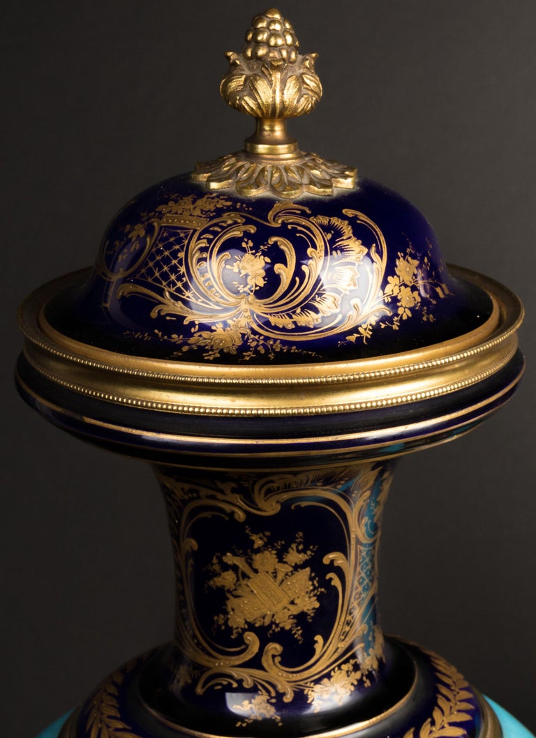 A pair of Sèvres Porcelain Vases For Sale at 1stDibs