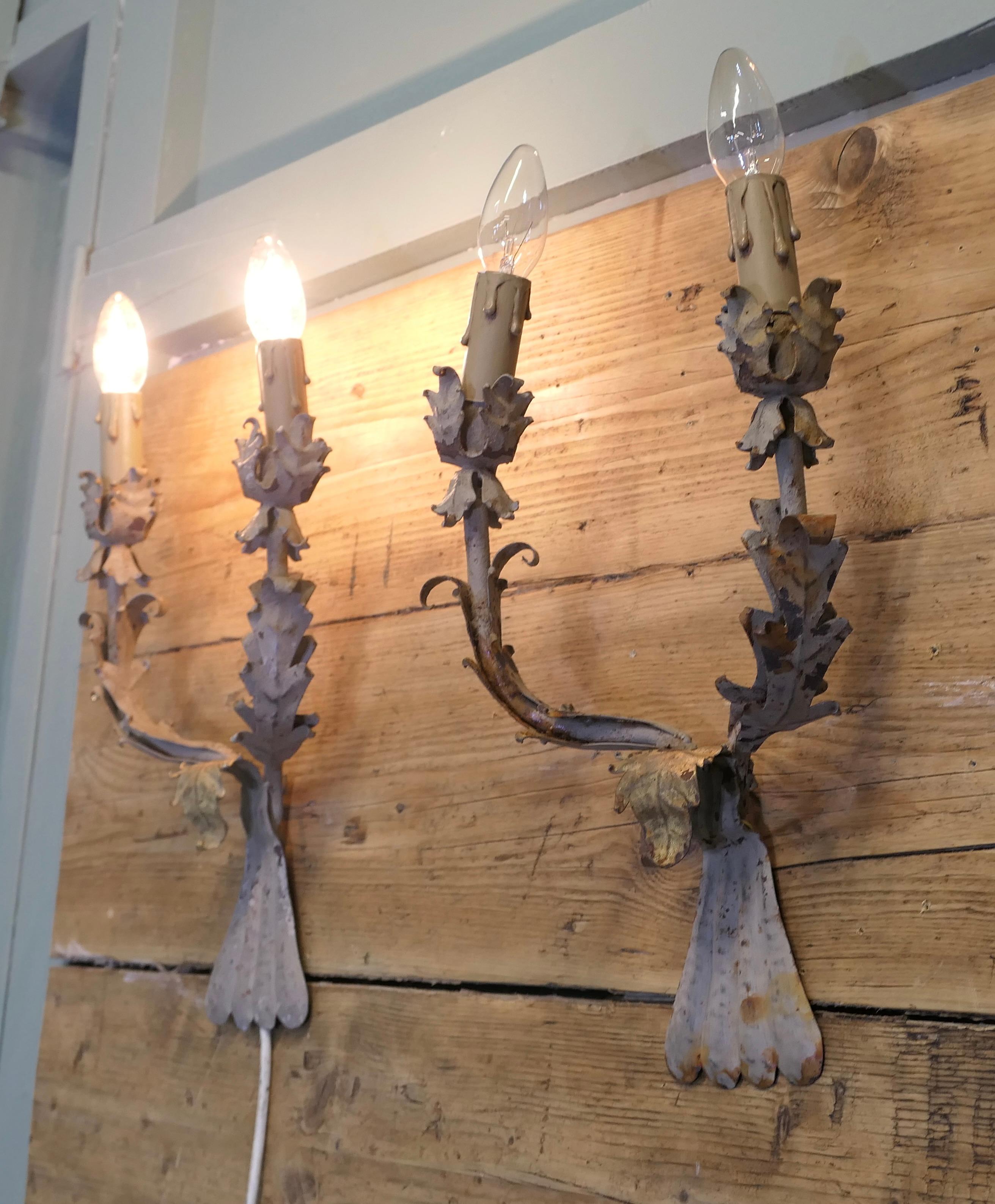 Ein Paar Shabby Chic Toleware-Leuchten

Diese sind ein sehr attraktives Paar Wandleuchten, die Wandleuchter sind verziert mit gekräuselten Tüllblättern
Die Beleuchtung funktioniert und muss von einem Elektriker installiert werden.
Die Lichter sind