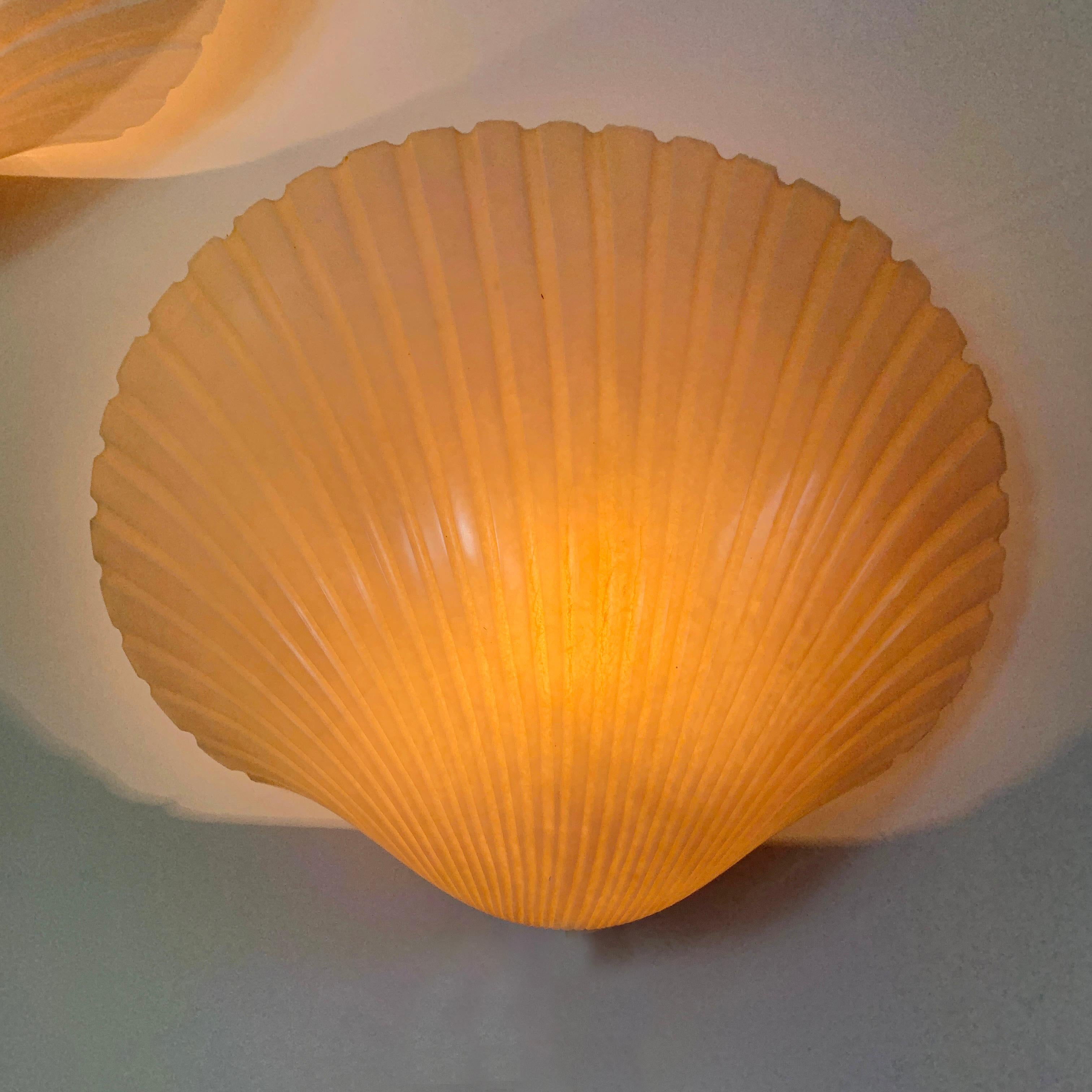 French White Shell Wall Lamps by Michèle Mahé and André Cazenave France 1970's