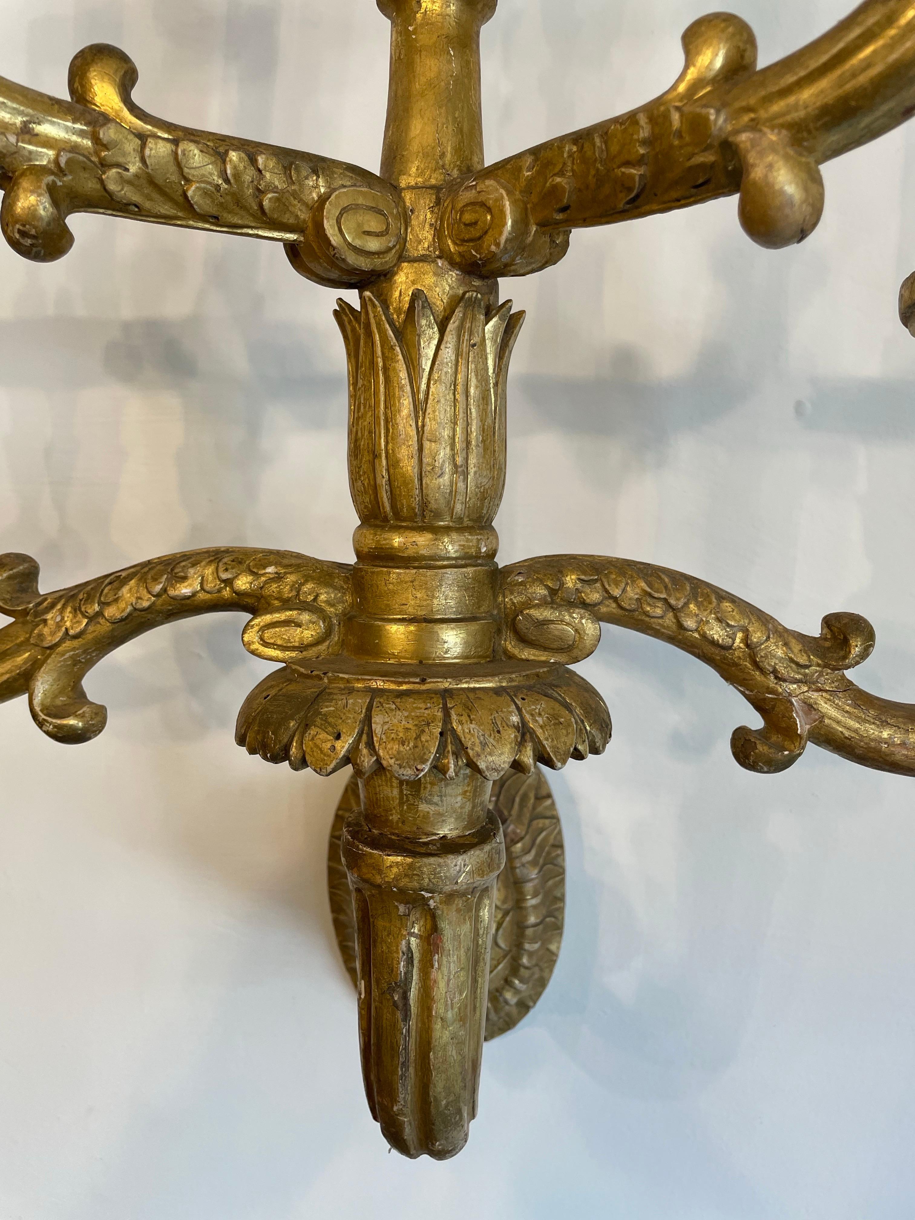Paire d'appliques murales espagnoles Carlos II en bois doré sculpté, 17ème siècle en vente 2