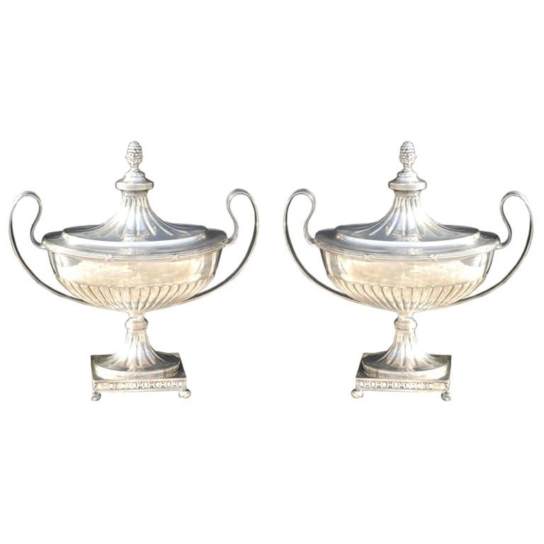 A Pair of Sugar Bowls in Swedish Plate For Sale