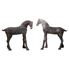 A Pair of Tang Dynasty Pottery Horses (TL Tested)