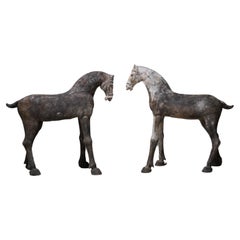 Antique A Pair of Tang Dynasty Pottery Horses (TL Tested)