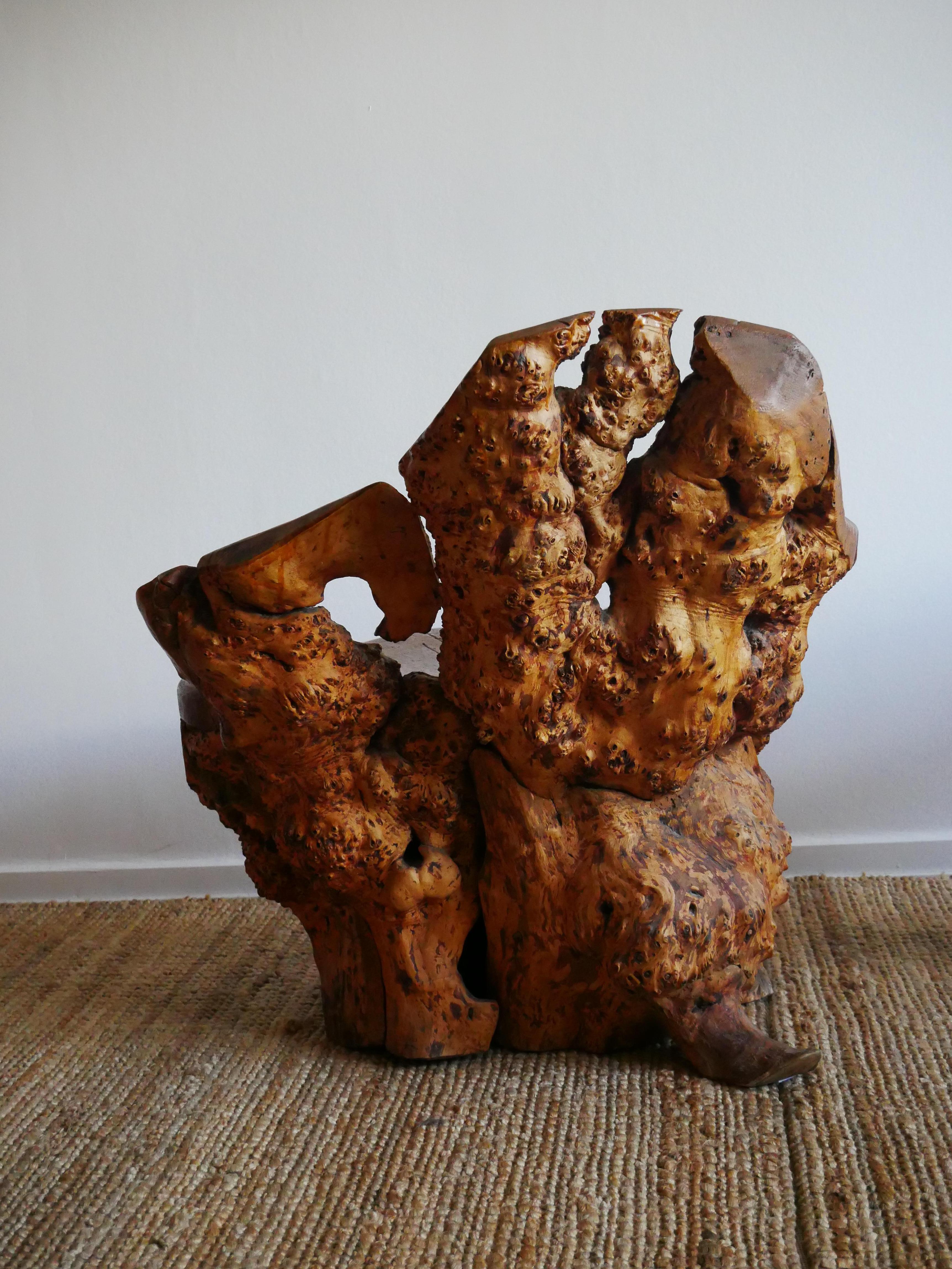 Mid-20th Century A pair of two Birch Burl Chairs made in 1940, Sweden For Sale