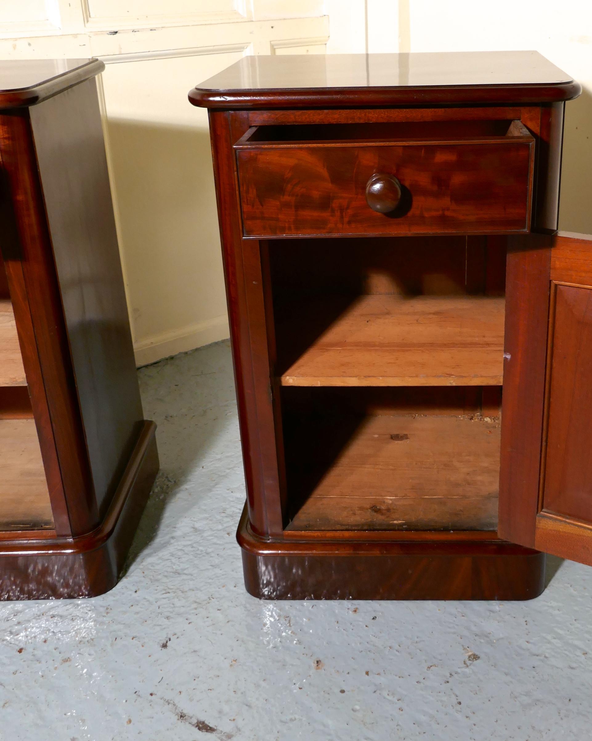 19th Century Pair of Victorian Mahogany Bedside Cupboards