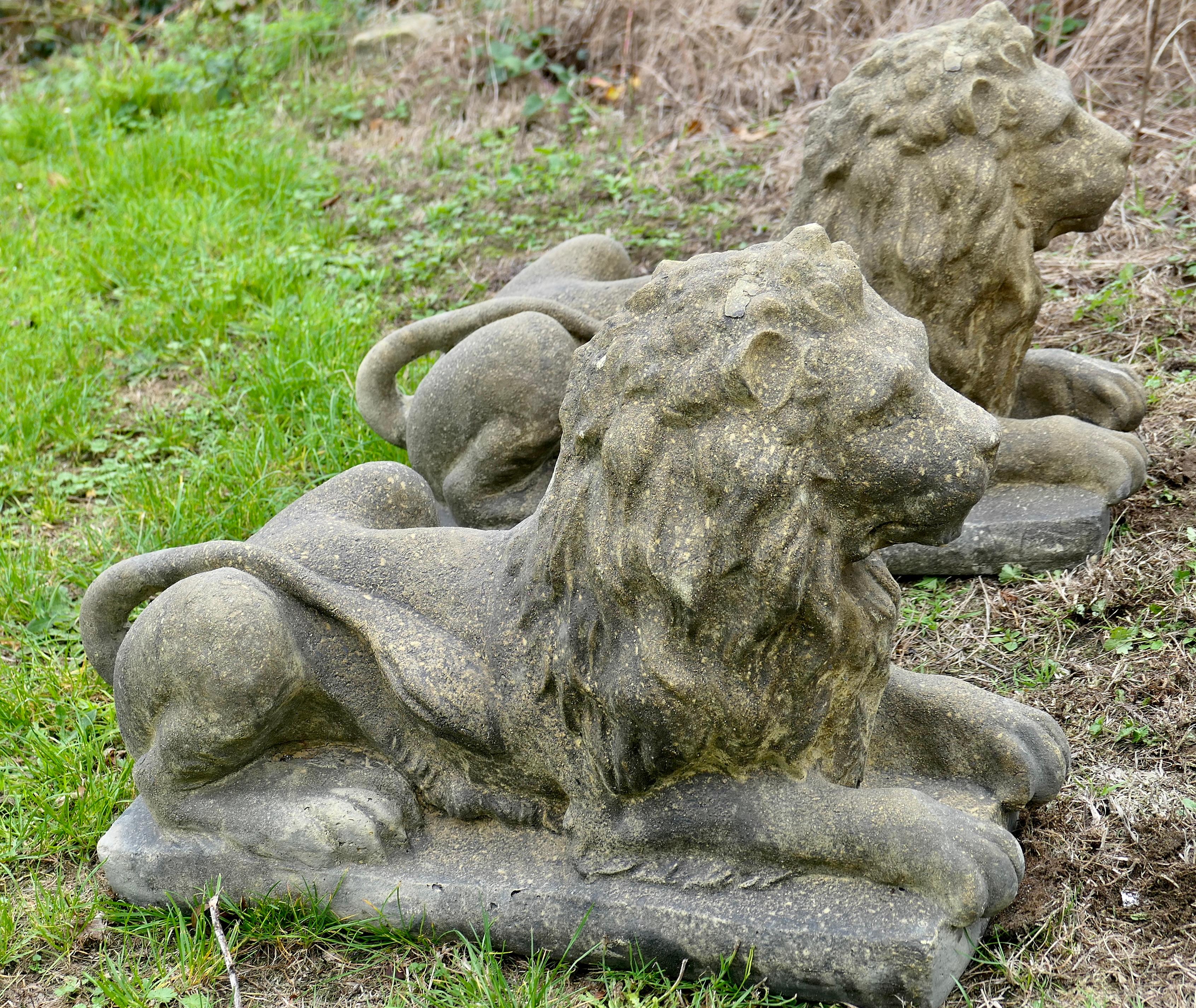 XX secolo Una coppia di leoni guardiani esposti alle intemperie   I Leoni sono completamente scolpiti a tutto tondo in vendita