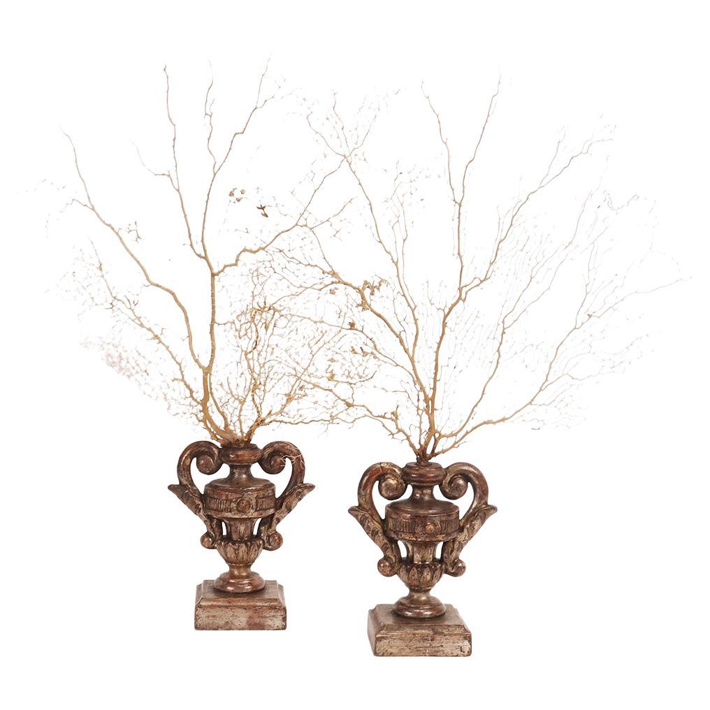 Pair of White Gorgonian Branches, Italy, 1870