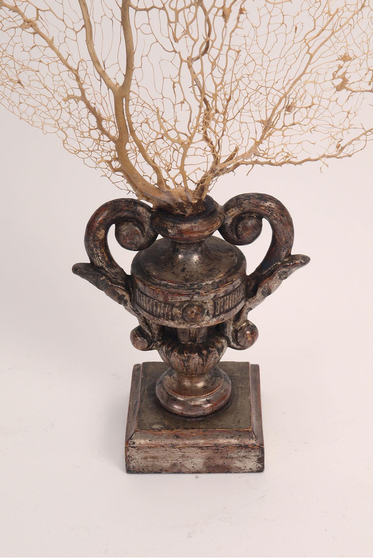 Paire de branches de gorgones blanches avec des bases en forme de vase, Italie 1870. en vente 4