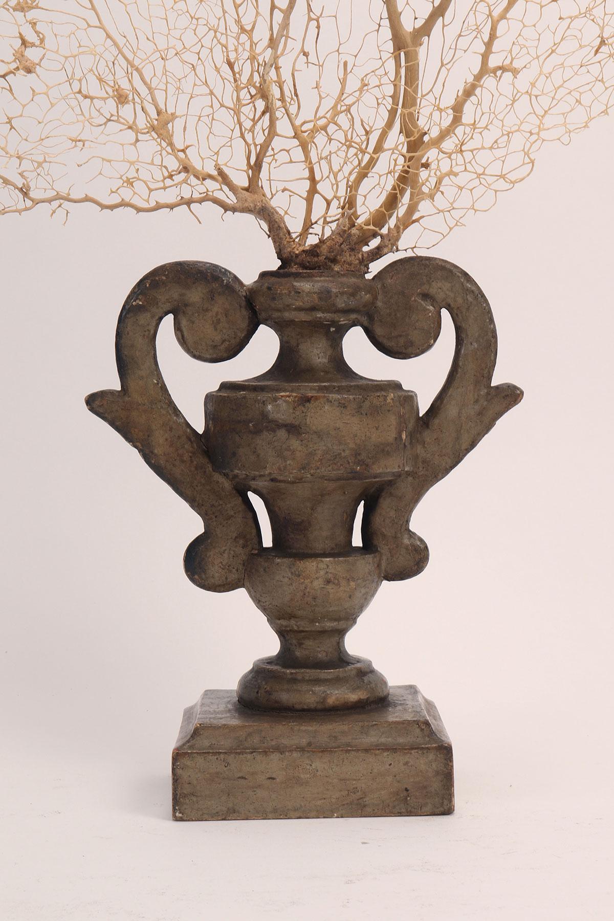 Paire de branches de gorgones blanches avec des bases en forme de vase, Italie 1870. en vente 5