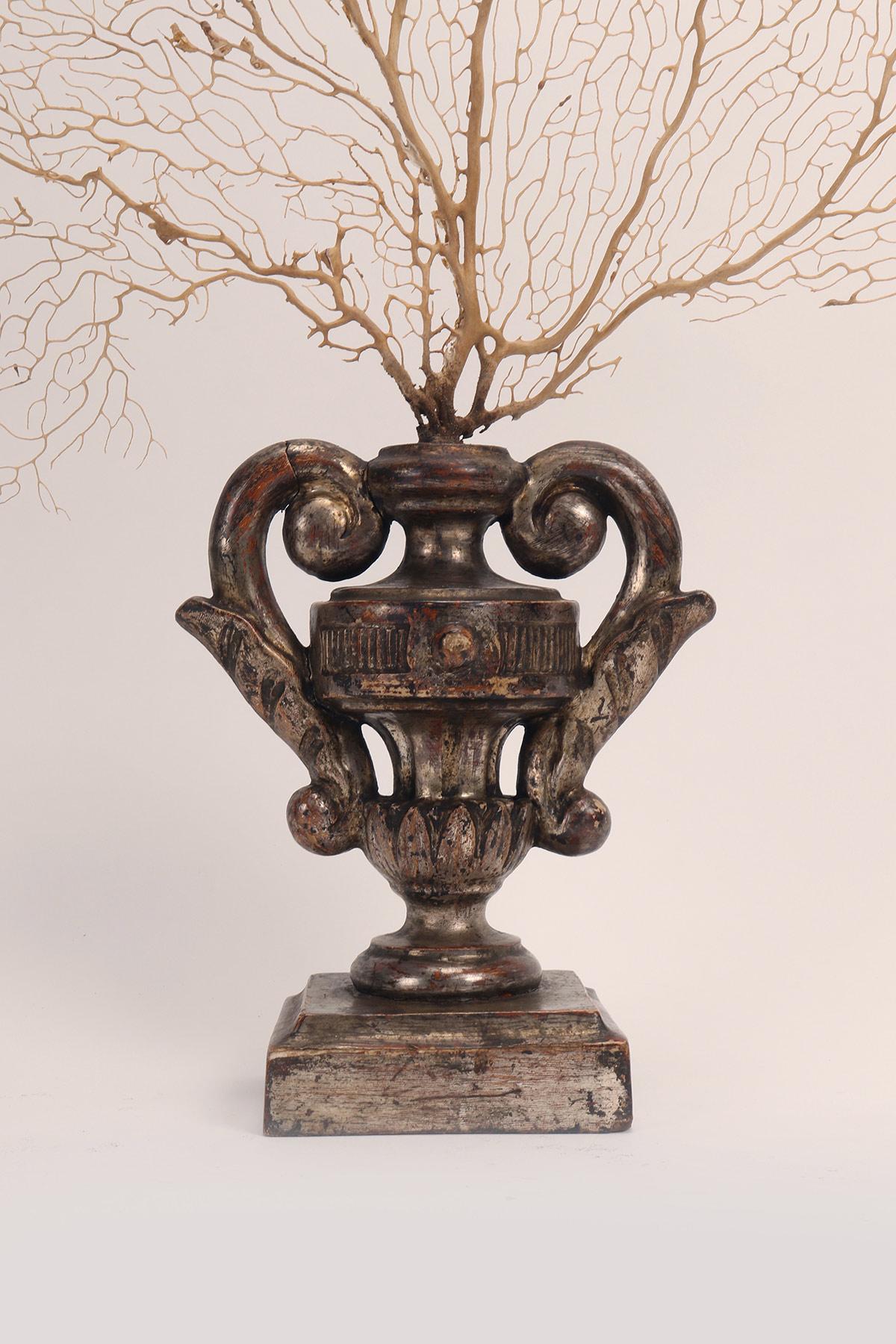 XIXe siècle Paire de branches de gorgones blanches avec des bases en forme de vase, Italie 1870. en vente
