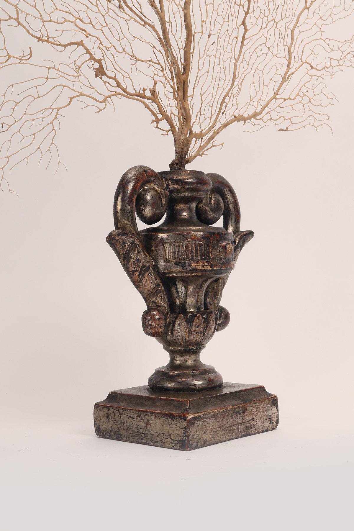 Paire de branches de gorgones blanches avec des bases en forme de vase, Italie 1870. en vente 1