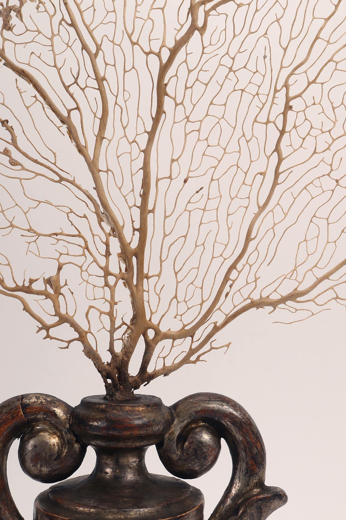 Paire de branches de gorgones blanches avec des bases en forme de vase, Italie 1870. en vente 2