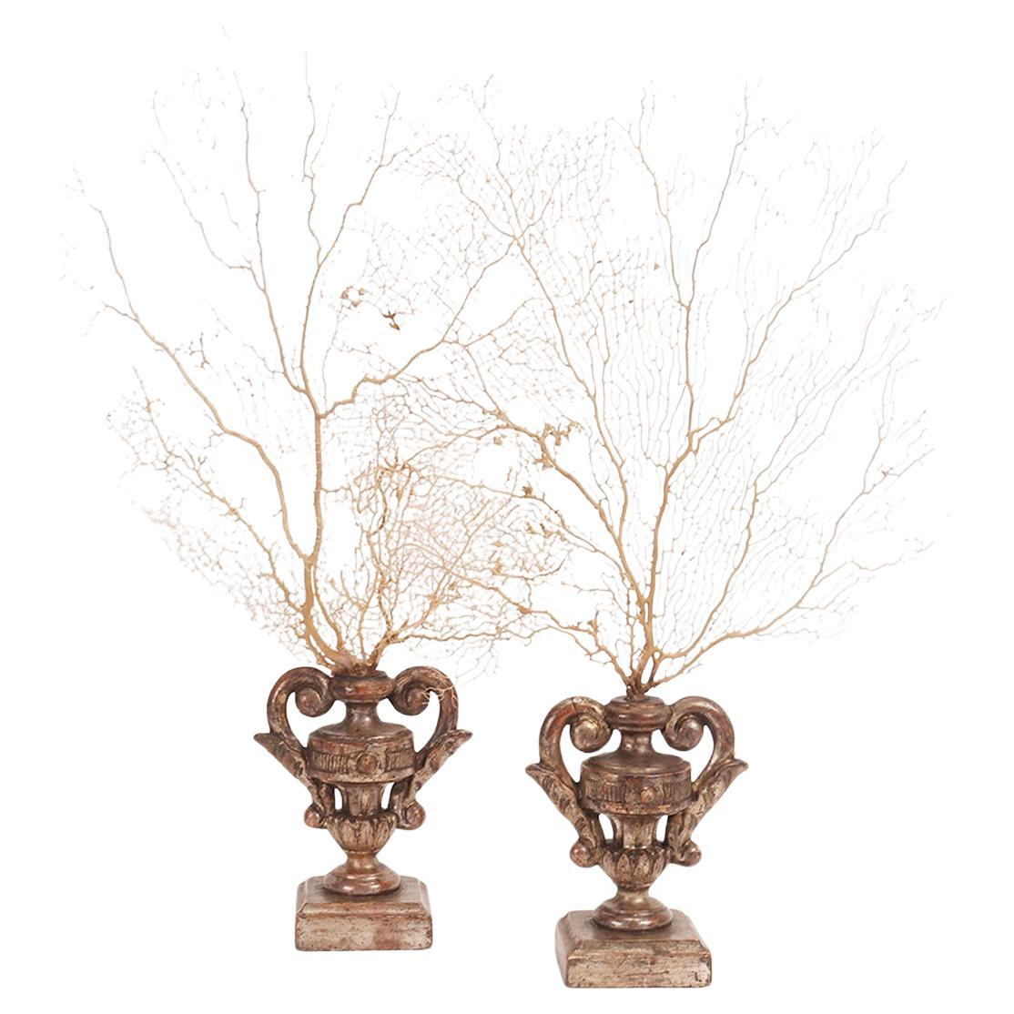 Coppia di rami di gorgonie bianche con base a forma di vaso, Italia 1870.