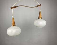 Pair of White Opal Frosted Glass Pendants Light with Wooden Details by Massive